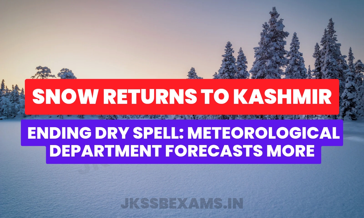 Snow Returns to Kashmir, Ending Dry Spell Meteorological Department